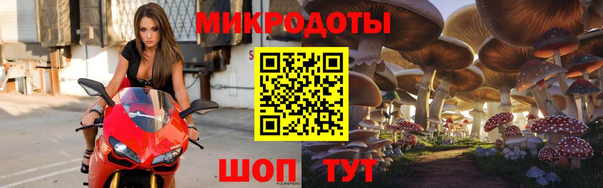 Псилоцибиновые грибы Cubensis Нефтекамск